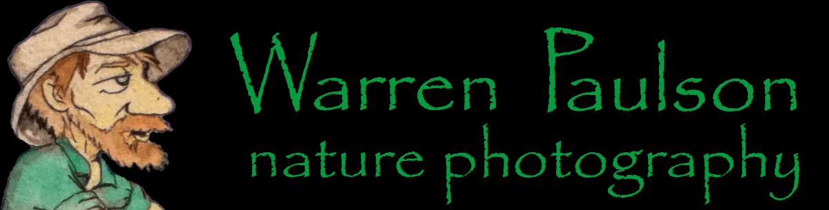 Warren Paulson Nature Photography